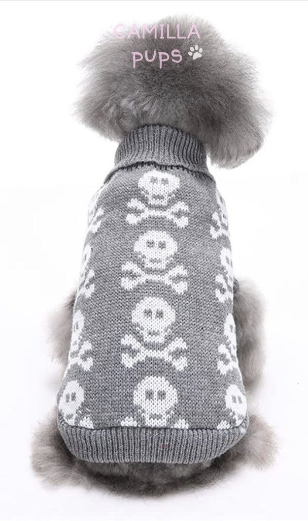 Pup posing wearing Max skull sweater