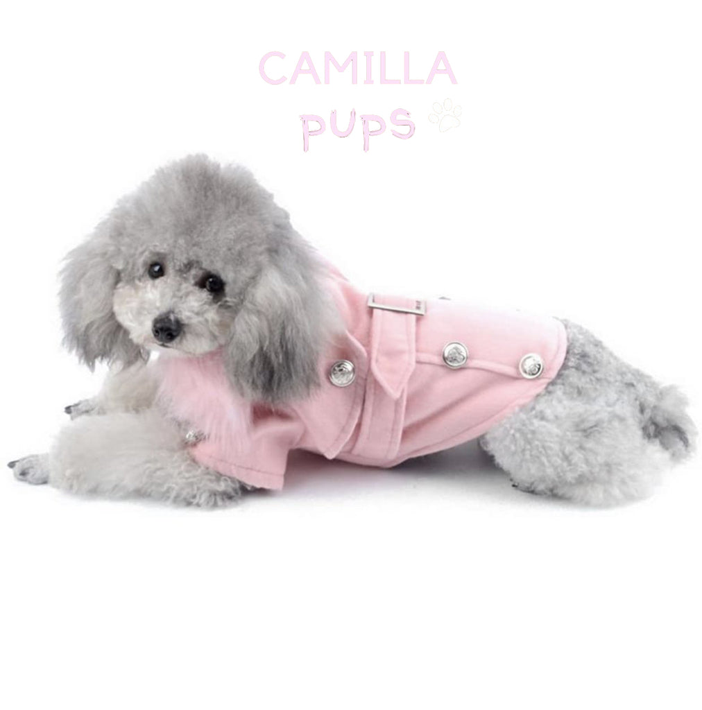 a poodle pup wearing the pastel pink peggy coat