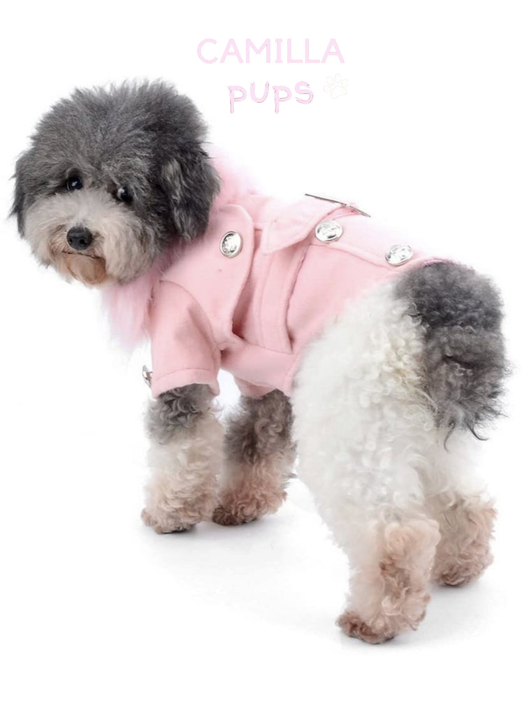 a Havanese pup wearing the pastel pink peggy coat