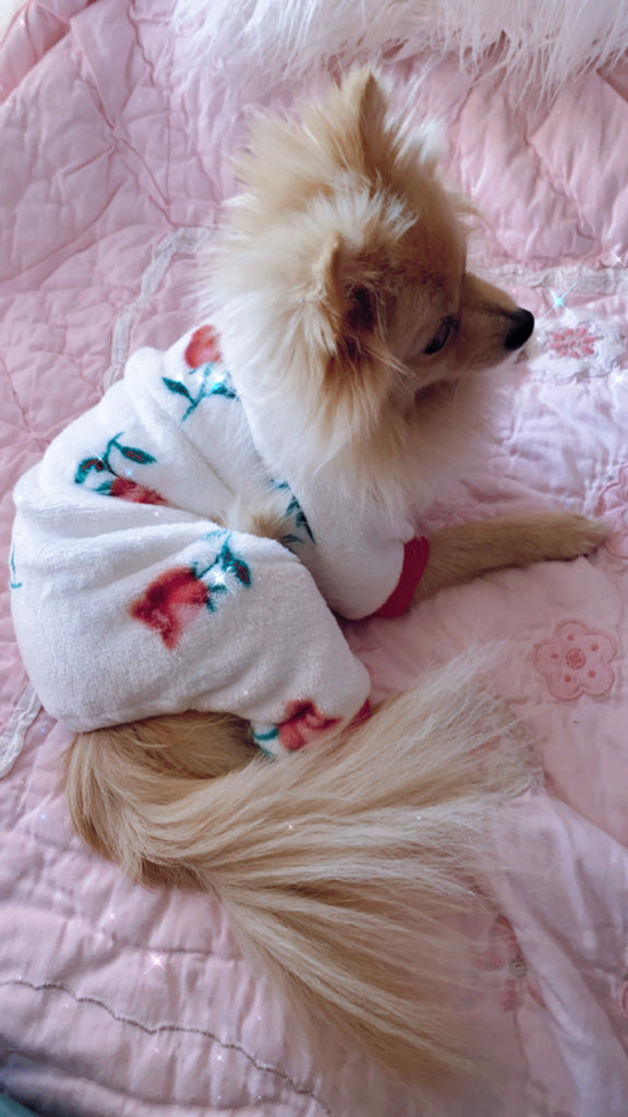 Bunny (a German Spitz pup) wearing rosa pajamas