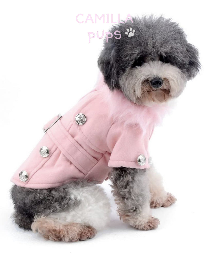 a Havanese pup wearing the pastel pink peggy coat