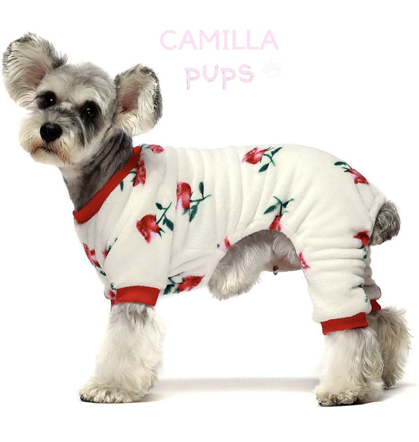 pup wearing rosa pajamas
