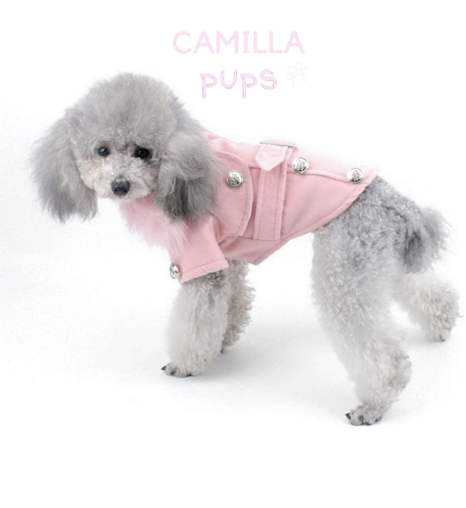 a poodle pup wearing the pastel pink peggy coat