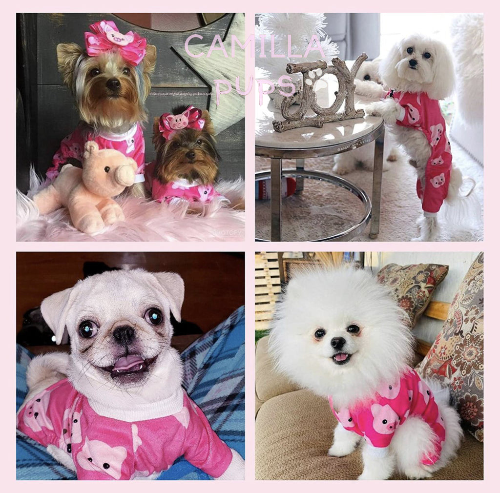 Different dog breeds wearing the Peppa piggy pajamas