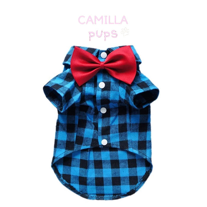 Front side of Ted Shirt with Bow tie