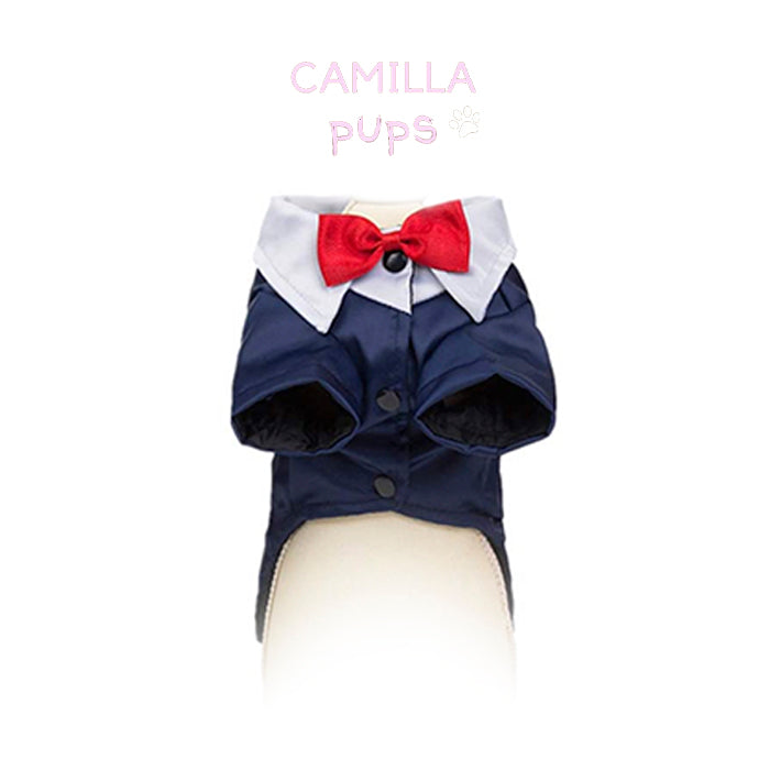 Teddy Tuxedo with Harness