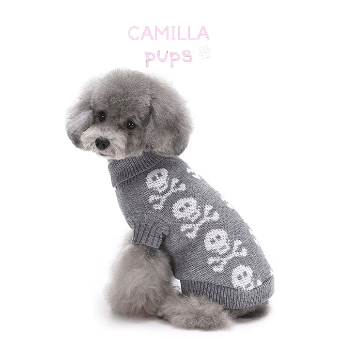 Pup posing wearing Max skull sweater