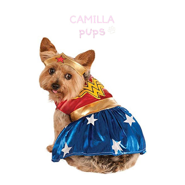Pup posing on the Wonder Woman custome