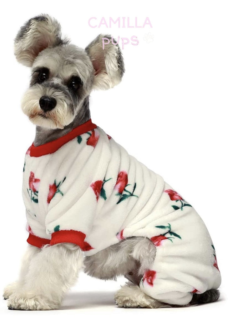 pup wearing rosa pajamas 