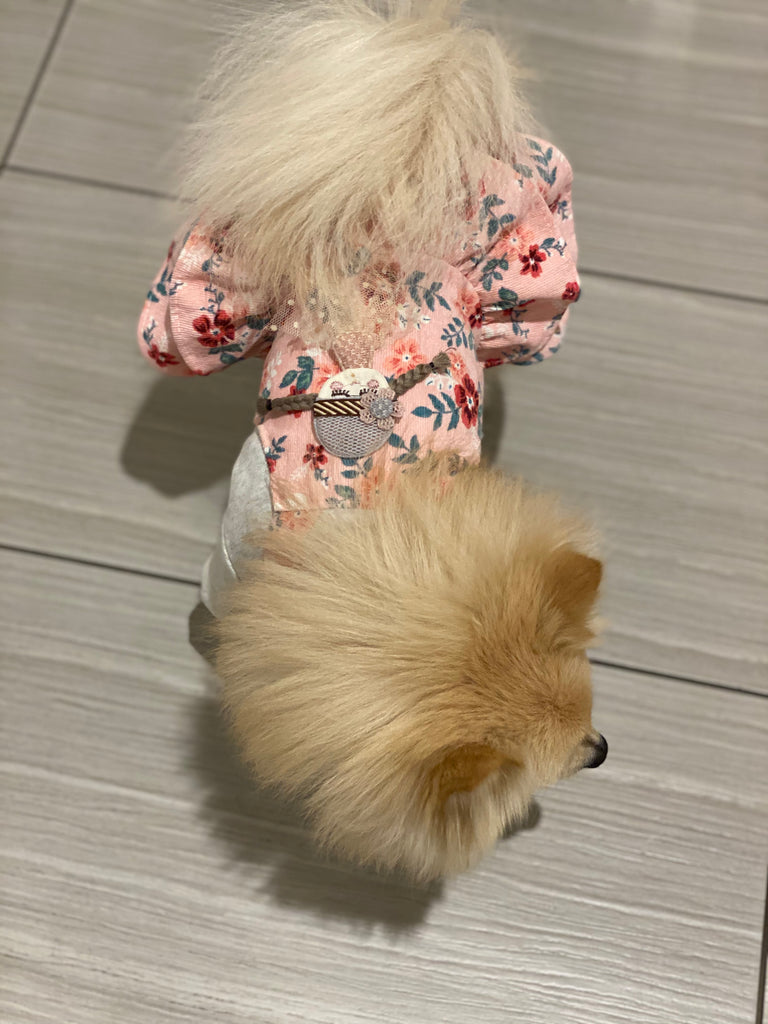 Bunny (a German Spitz pup) wearing the pippy doll dress