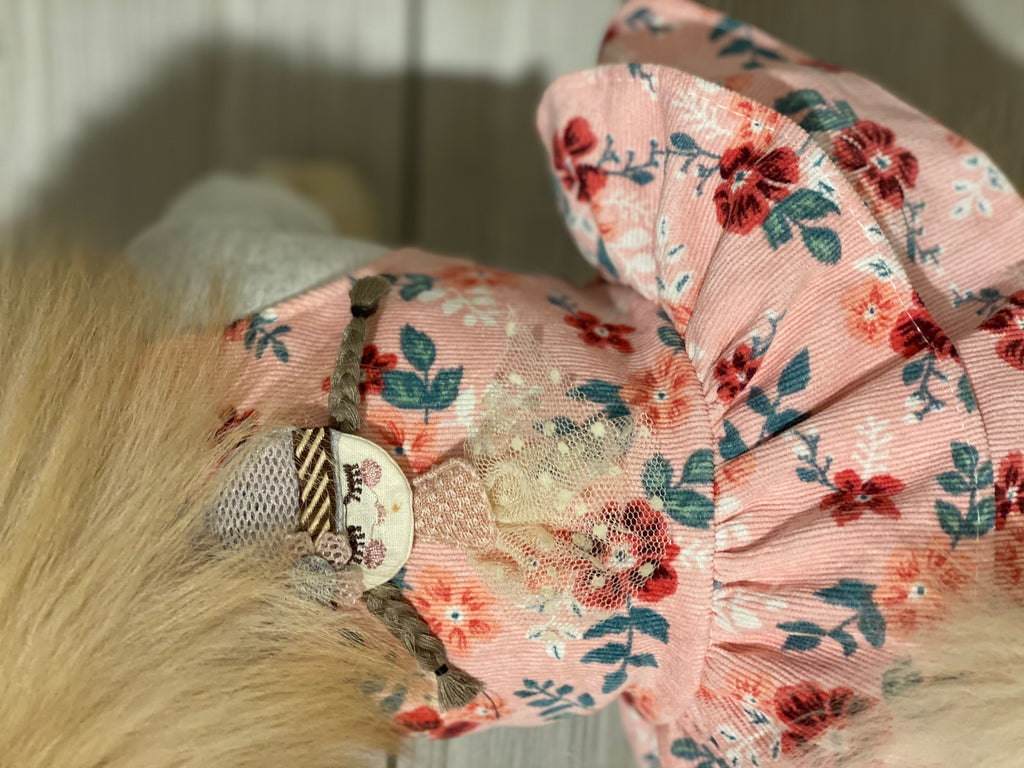 Bunny (a German Spitz pup) wearing the pippy doll dress