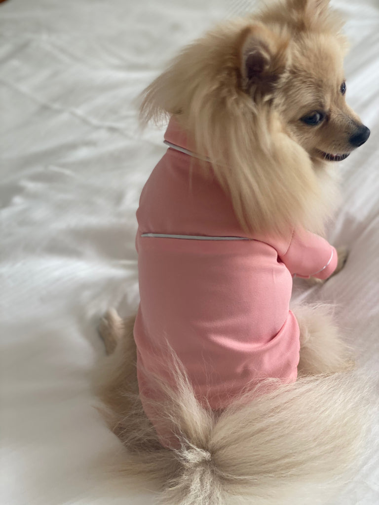 Bunny (a German Spitz pup) wearing a pink pastel Nicole pajamas