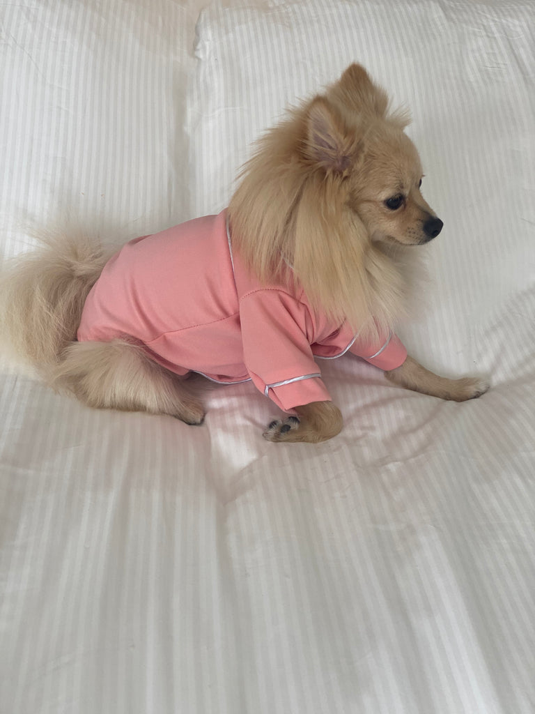Bunny (a German Spitz pup) wearing a pink pastel Nicole pajamas