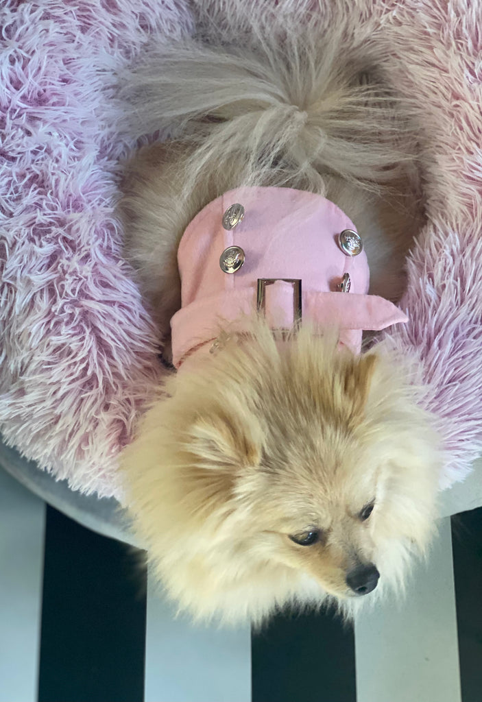 Bunny (a German Spitz pup) wearing a pink pastel Peggy coat laying on a plush bed