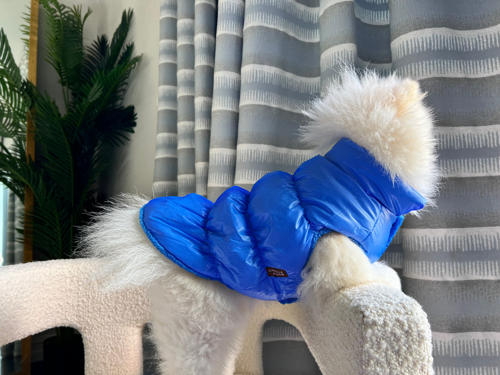 mid side profile of bear wearing the puffer vest