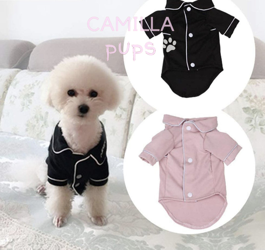 a Bichon Frisé pup wearing the black Nicole pajamas